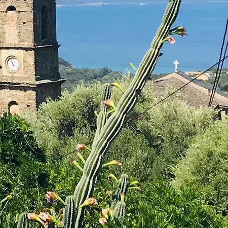 T2 Farinole, Vue Sur Le Golfe De St Florent, A Pied * Farinole